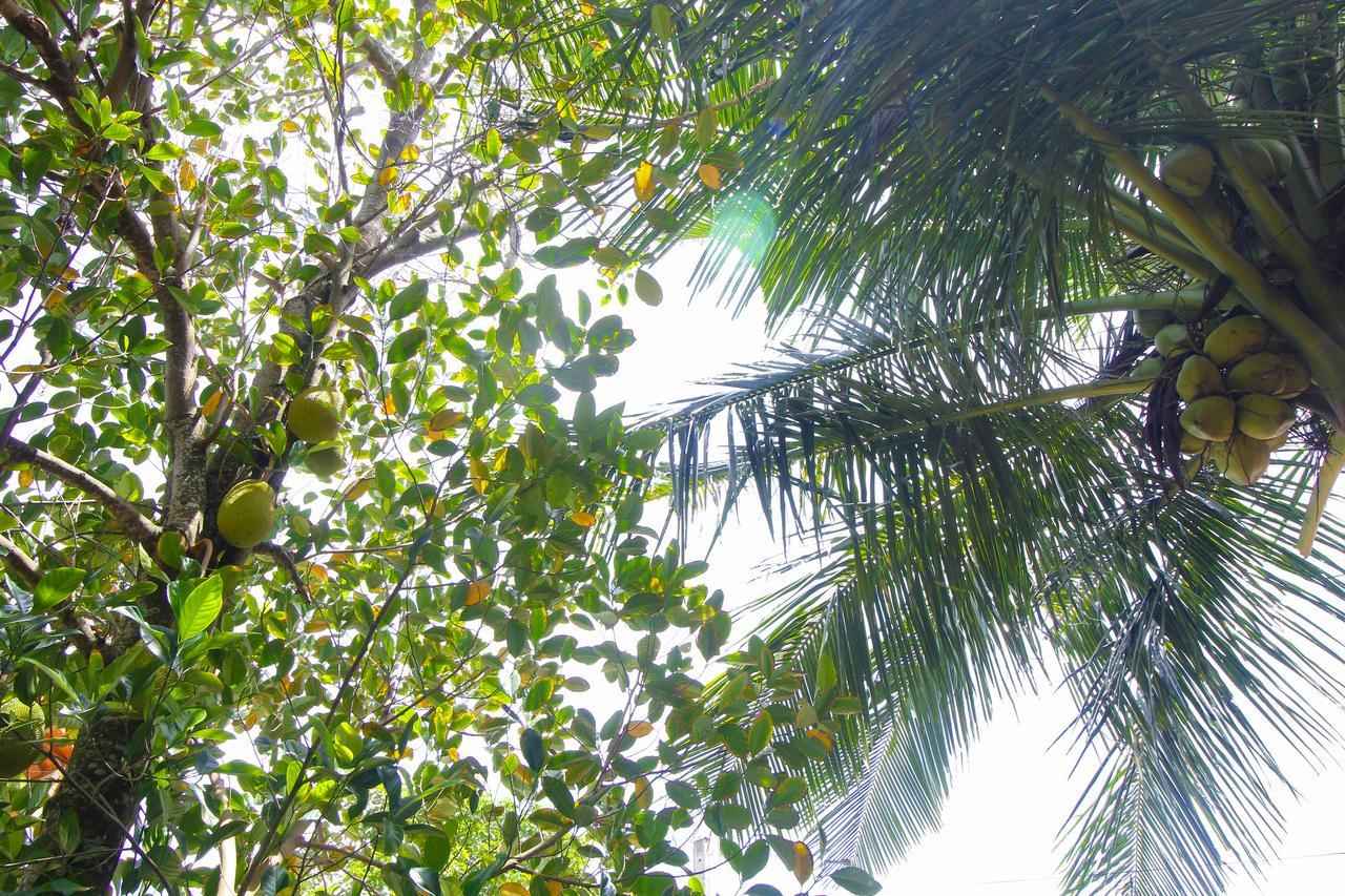 Dedunu Home Bentota Esterno foto